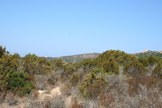 IMG_0360_2.JPG
