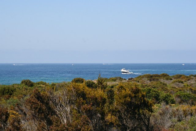IMG_0367_2.JPG