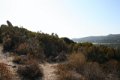 IMG_0011_3