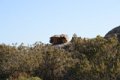 IMG_0019_3_2