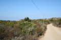 IMG_0247_2_2_2