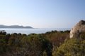 IMG_0258_2_2_2