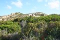 IMG_0270_2_2_2