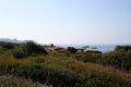 IMG_0272_2_2_2