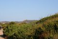 IMG_0274_2_2_2