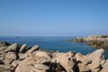 IMG_0290_2_2