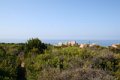 IMG_0295_2_2