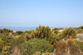 IMG_0296_2_2