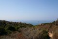 IMG_0303_2_2