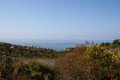 IMG_0308_2_2