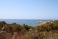 IMG_0382_2