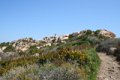 IMG_0424