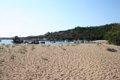 IMG_0518
