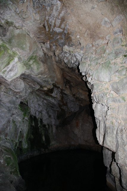 IMG_5694.JPG