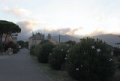 IMG_4944