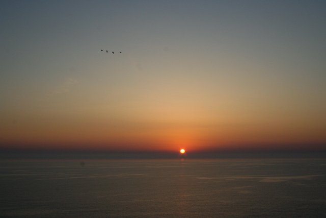 IMG_2372.JPG