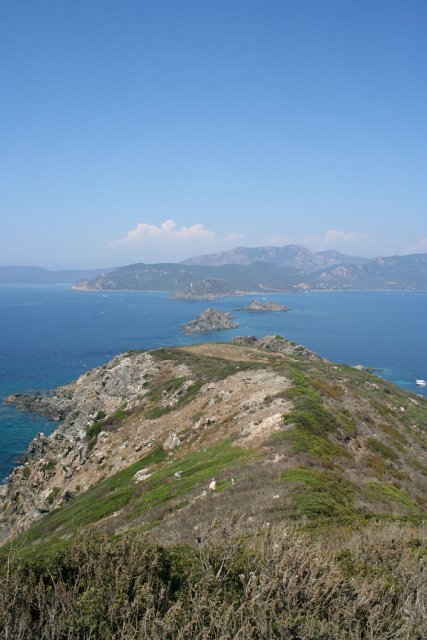 IMG_2309.JPG