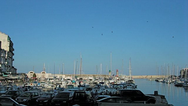 DSCN7739.JPG