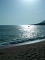 DSCN7706