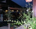 DSCN7734