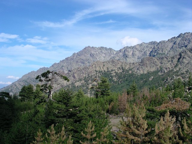 DSCN7904.JPG