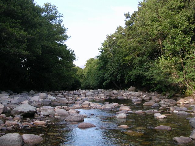 DSCN7916.JPG