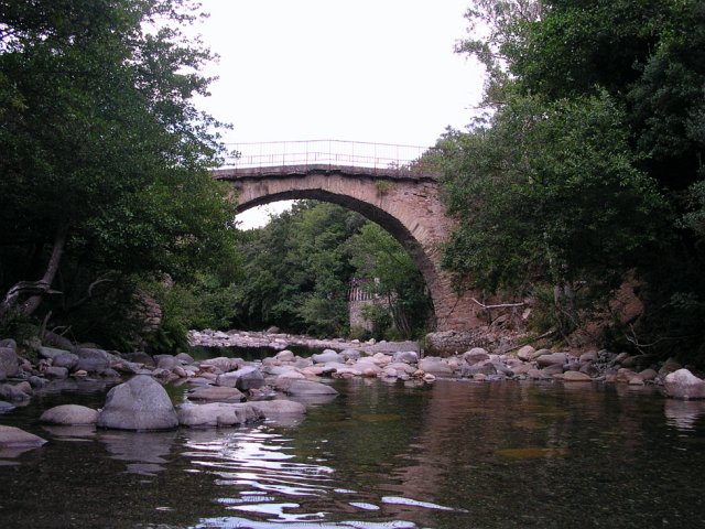 DSCN7919.JPG