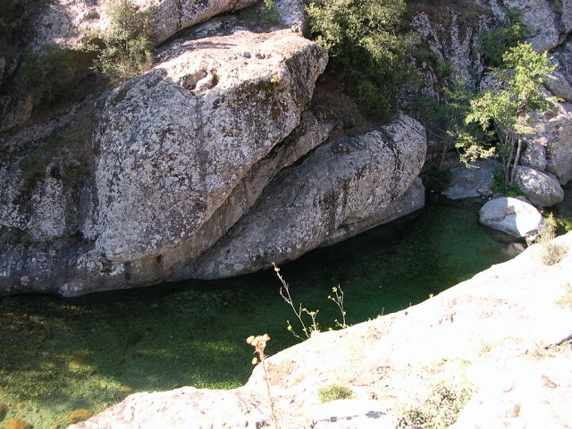 DSCN8014.JPG