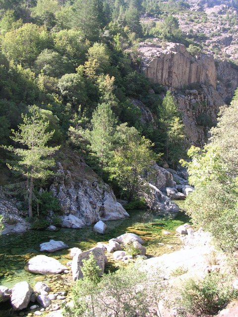 DSCN8019.JPG