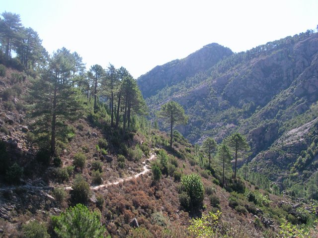DSCN8032.JPG