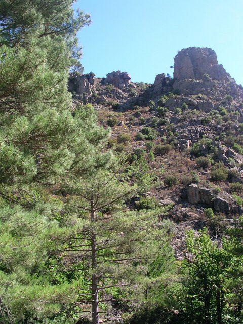 DSCN8033.JPG