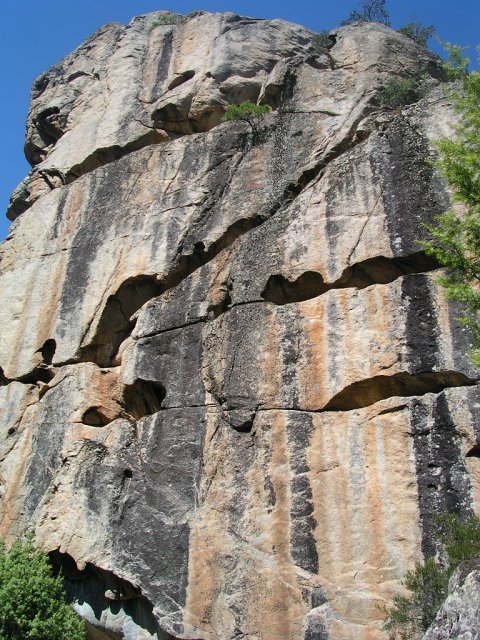 DSCN8050.JPG