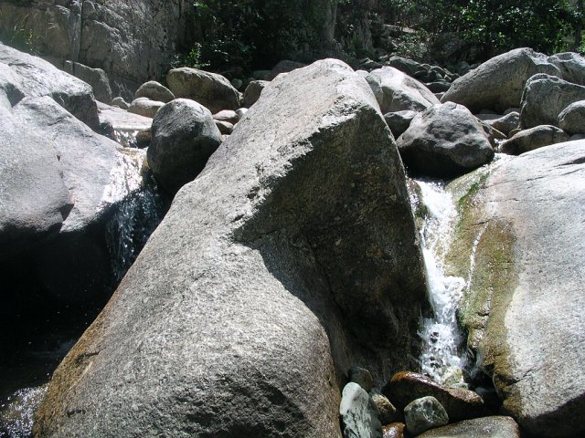 DSCN8064.JPG