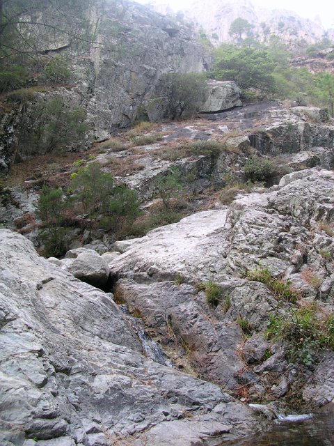 DSCN8073.JPG