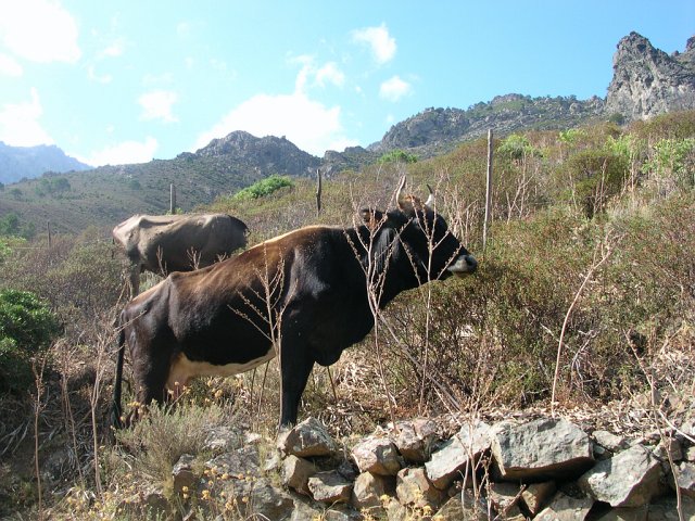 DSCN8081.JPG