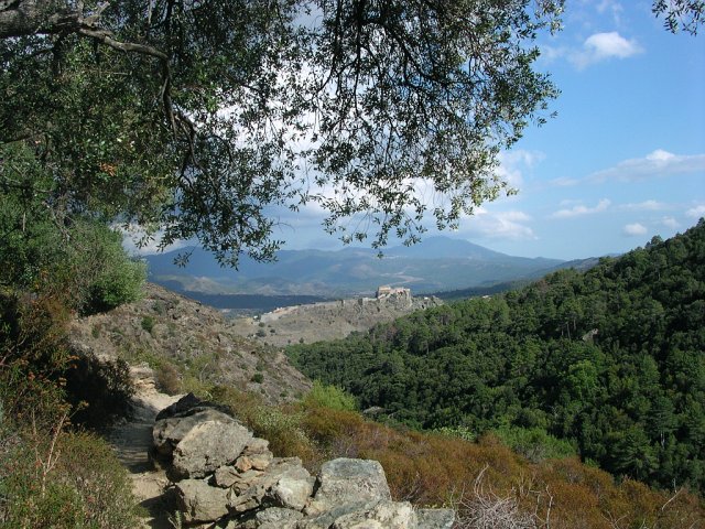 DSCN8084.JPG