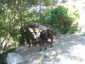 DSCN8017