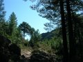 DSCN8029