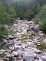 DSCN8067