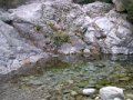 DSCN8071