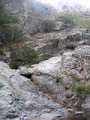 DSCN8073