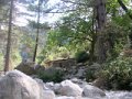 DSCN8074
