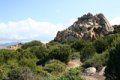 IMG_0059_2