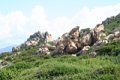 IMG_0071_2