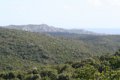 IMG_0107_2