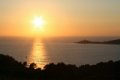 IMG_0560