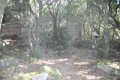 IMG_0183_2
