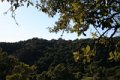 IMG_0233_2