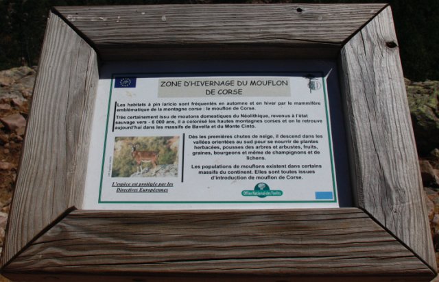 IMG_7227.JPG
