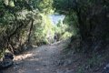 IMG_0366